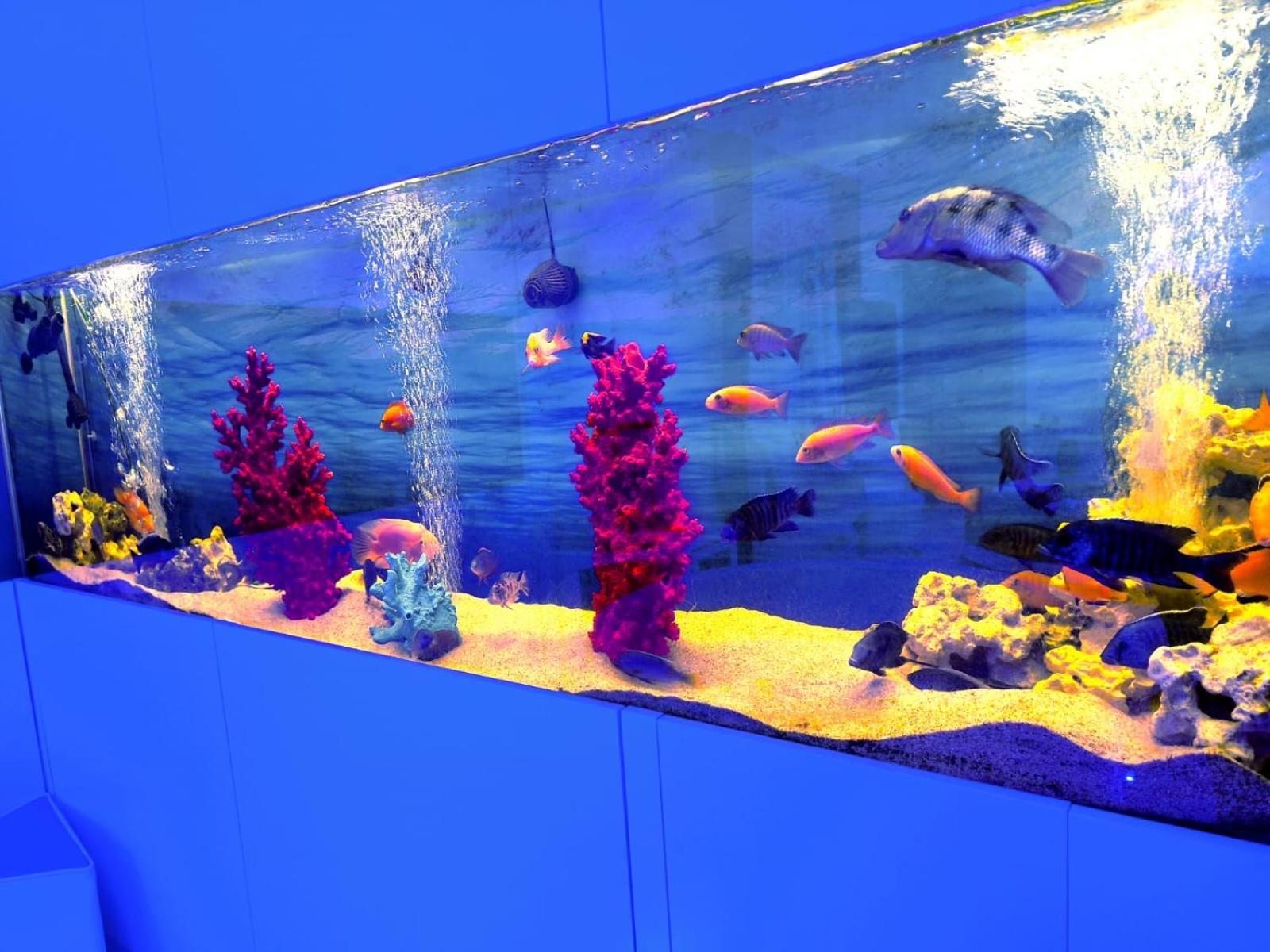 Aquaboutique Wellness&Spa Vietri 외부 사진