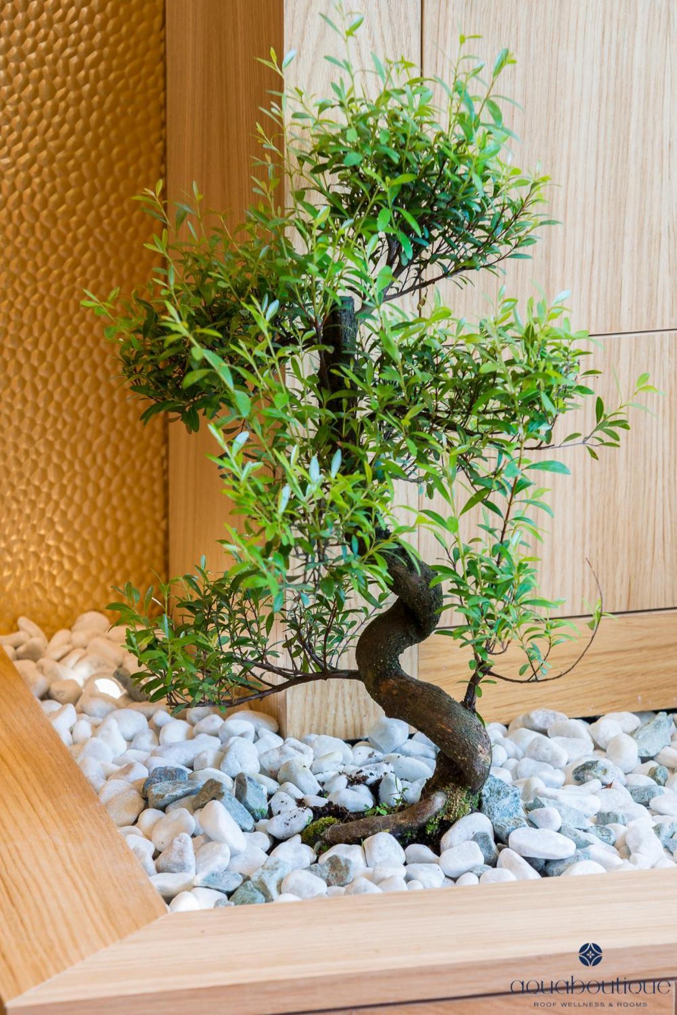 Aquaboutique Wellness&Spa Vietri 외부 사진